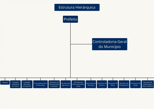 Organograma da Estrutura Organizacional